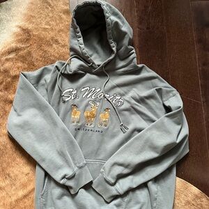 Brandy Melville Gray St. Moritz Hoodie